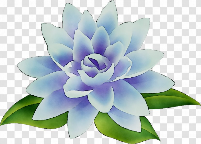 Stock Photography Illustration Royalty-free Image - Painting - Flower Transparent PNG