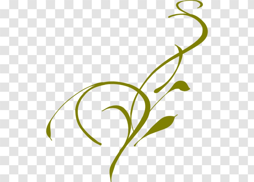 Vine Drawing Website Clip Art - Free Content - Olive Branch Clipart Transparent PNG