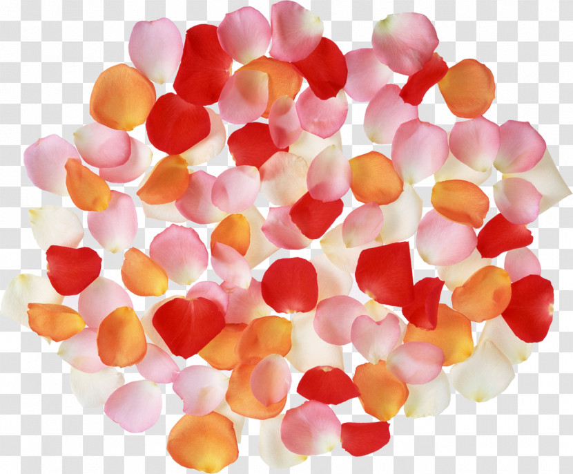 Gummy Candy Taffy Pink M Petal Transparent PNG