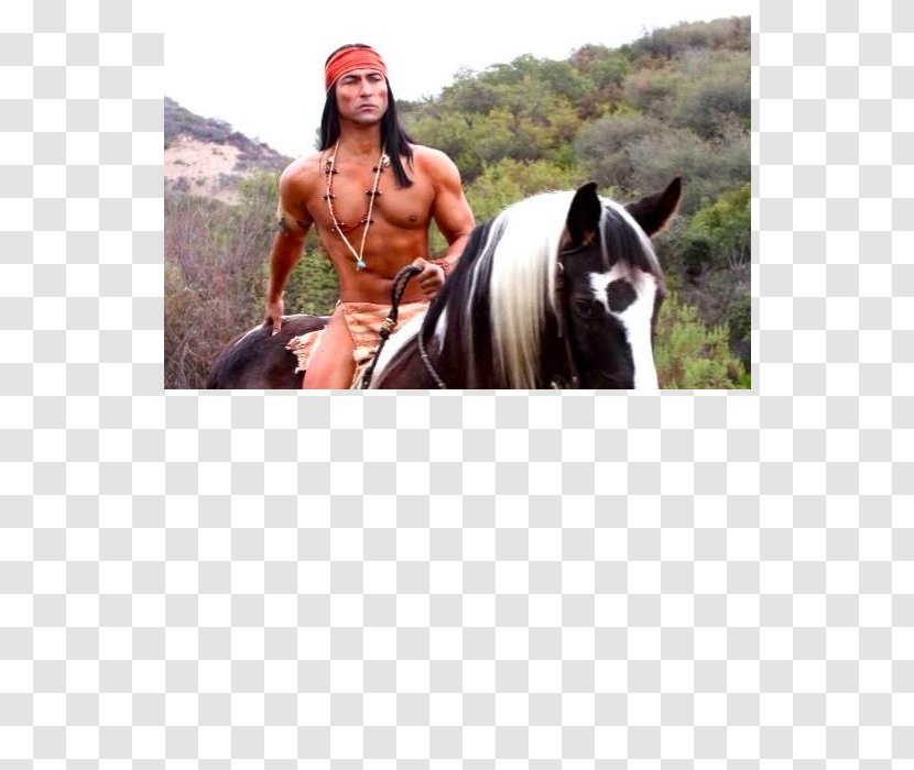 American Indian Horse Native Americans In The United States Equestrian Riding Plains Indians - Far West Transparent PNG
