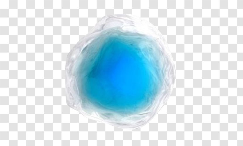 Turquoise - Stem Cell Transparent PNG