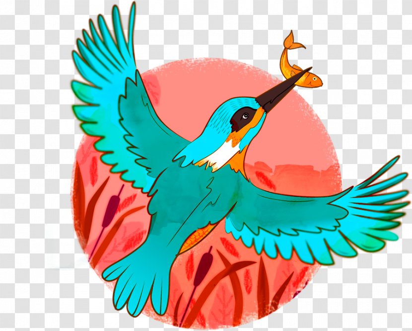 Macaw Parakeet Feather Clip Art - Bird Transparent PNG