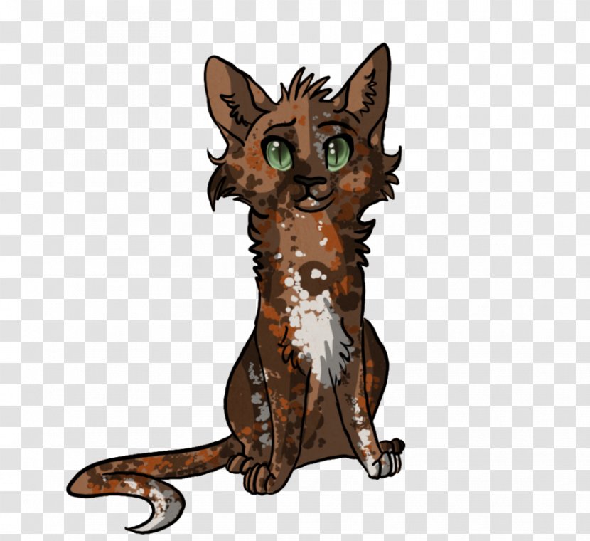 Whiskers Kitten Tabby Cat Wildcat Red Fox Transparent PNG