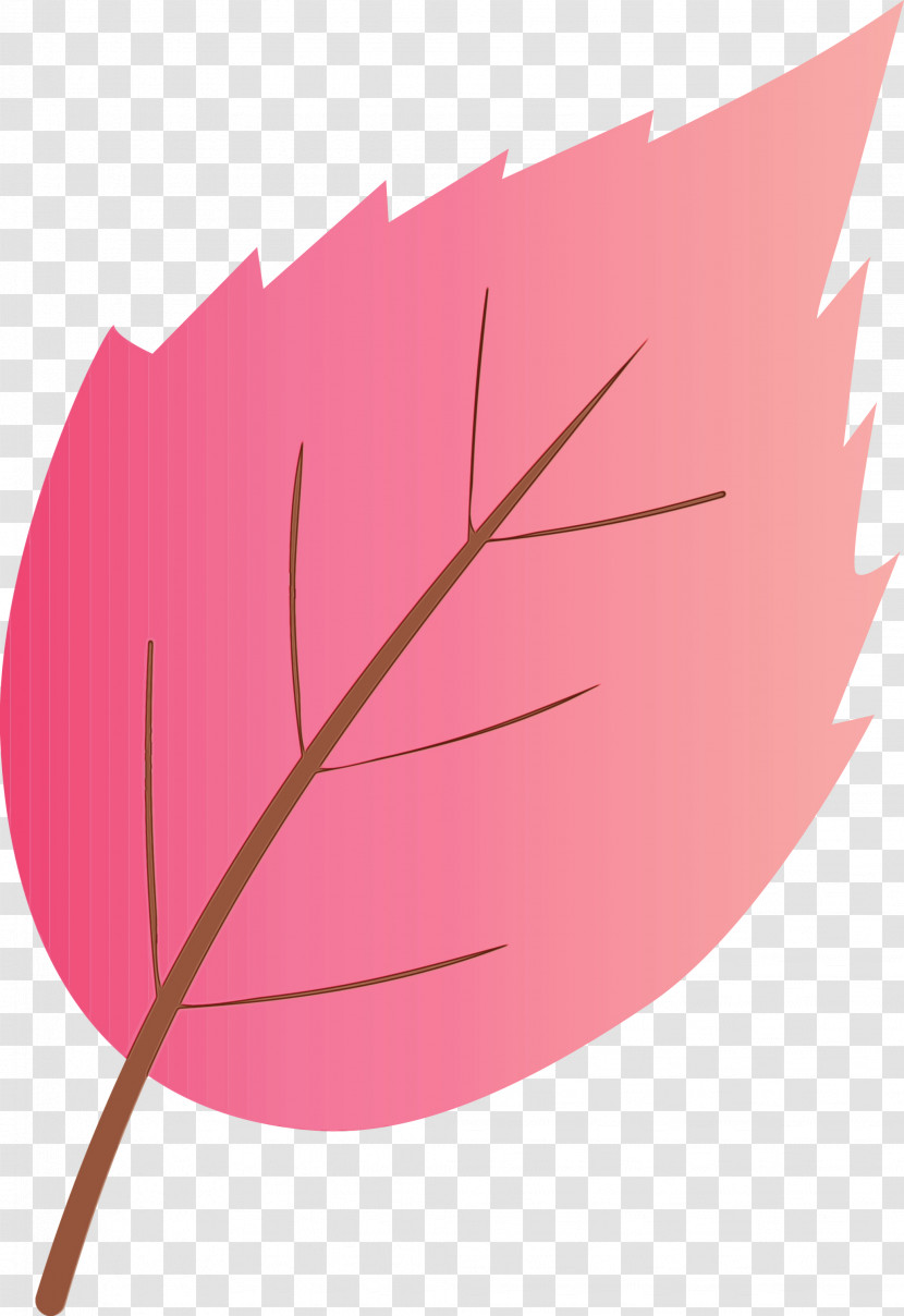 Leaf Pink Plant Tree Flower Transparent PNG