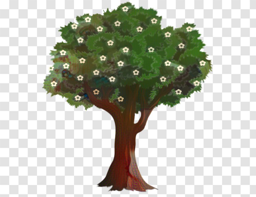 Tree Trunk Drawing - Shrub Plant Stem Transparent PNG