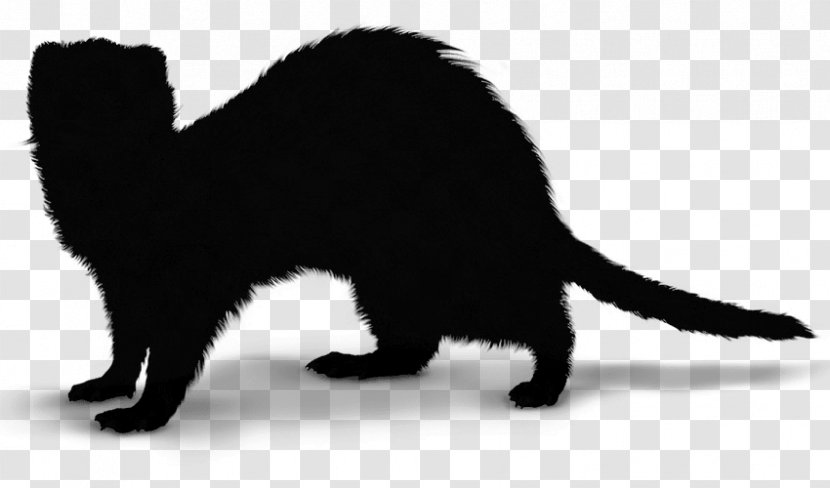 Black Cat Kitten Whiskers Dog - Carnivore Transparent PNG