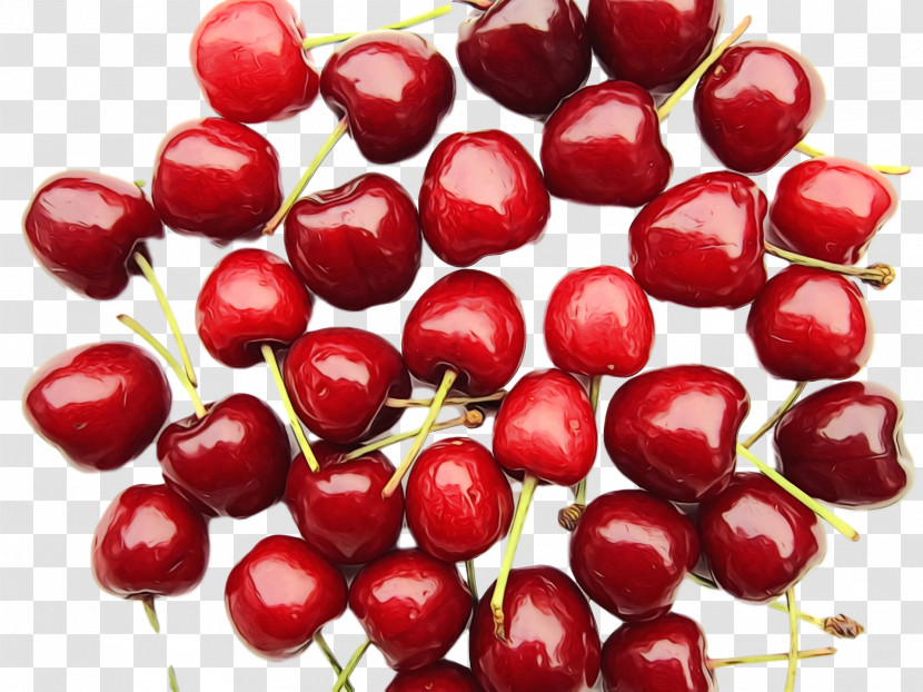 Cranberry Lingonberry Natural Foods Berry Cranberry Transparent PNG