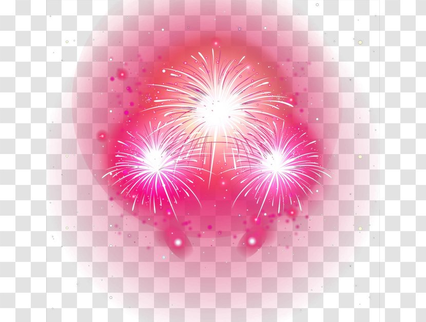 Petal Circle Sky Wallpaper - Magenta - Fireworks Transparent PNG