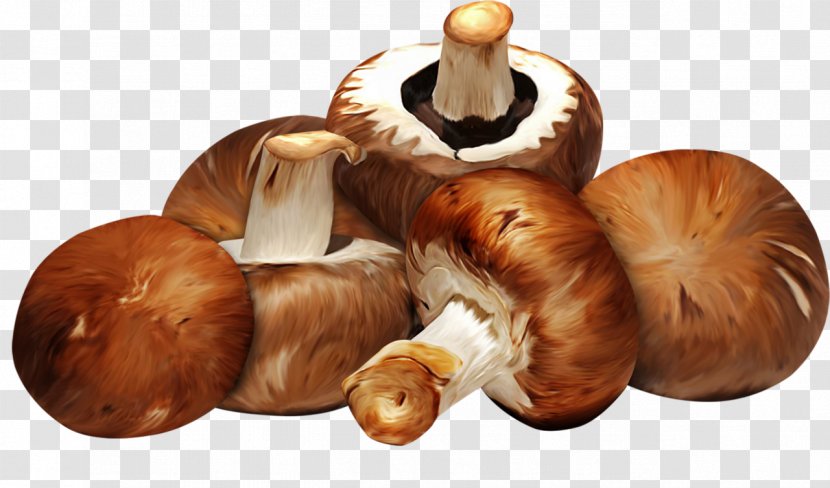 Scaloppine Edible Mushroom Shiitake Food - Megabyte Transparent PNG