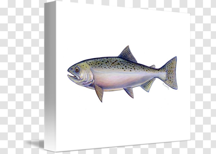 Sardine Bone Fracture Food Health - Bony Fish Transparent PNG