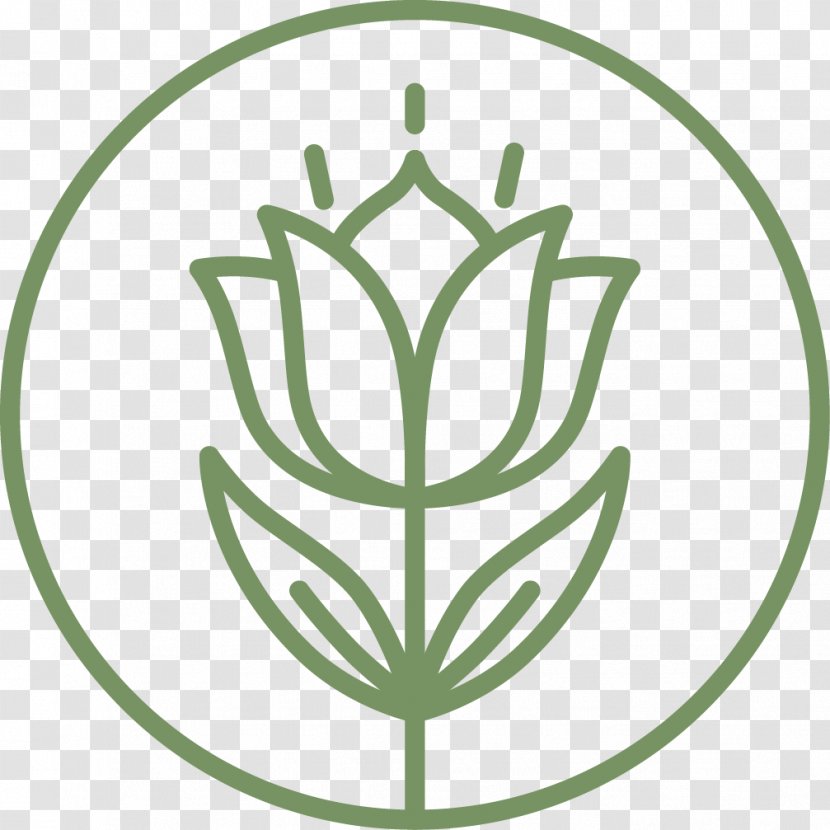 Flower Symbol Leaf - Grass Transparent PNG