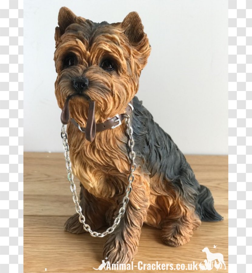Yorkshire Terrier Cairn Dog Breed Companion - Small Transparent PNG