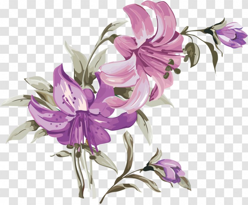 Flower Lilium Drawing Painting - Petal - Twine Transparent PNG