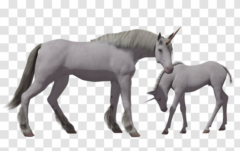 Horse Unicorn Desktop Wallpaper - Photoscape - Unicorns Transparent PNG