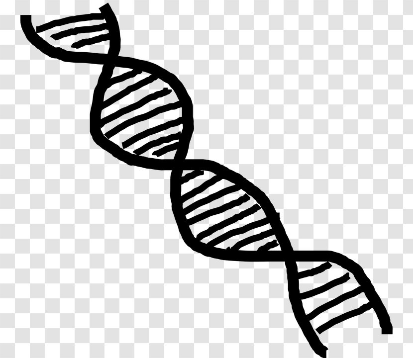 Nucleic Acid Double Helix DNA RNA Clip Art - Flower - Science Transparent PNG