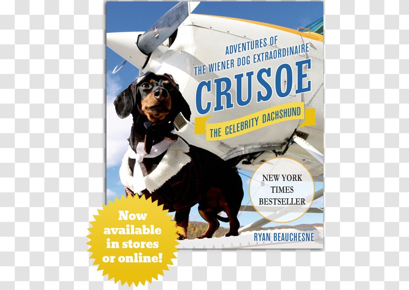 Crusoe, The Celebrity Dachshund: Adventures Of Wiener Dog Extraordinaire Book Worldly Dog: Further With Dachshund Amazon.com - Leash - Ny Times Best Seller Transparent PNG