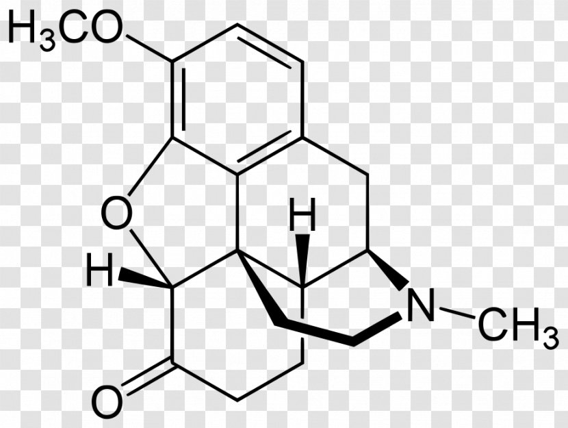Codeine Morphine Hydrocodone Opioid Hydromorphone - Watercolor - Tree Transparent PNG