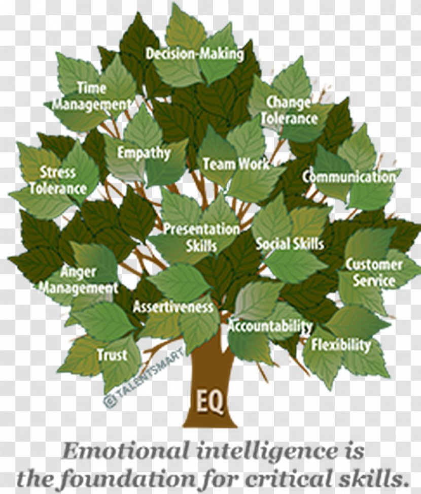 The Emotional Intelligence Appraisal Understanding Transparent PNG