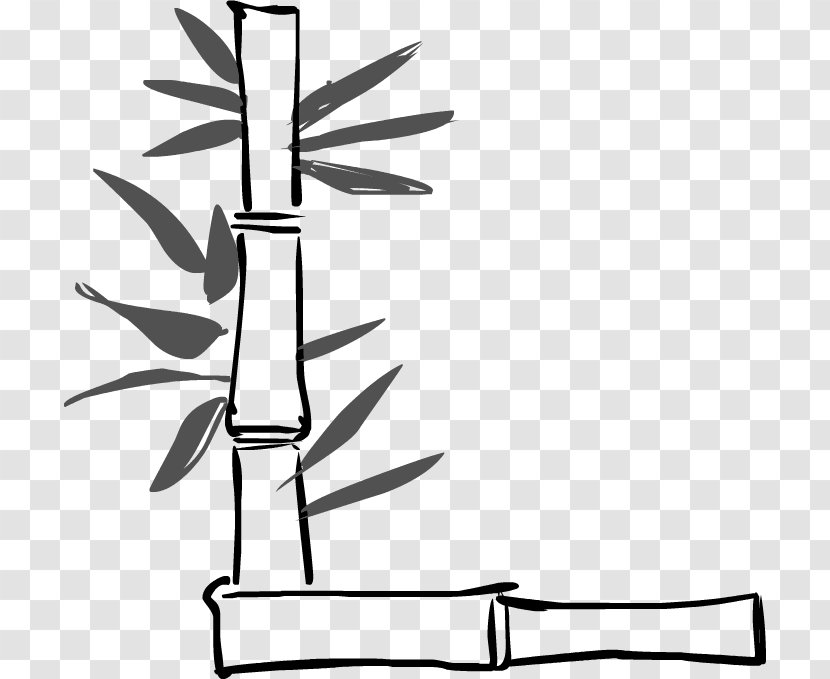 Twig Line Art Plant Stem Cartoon Clip - Leaf Transparent PNG