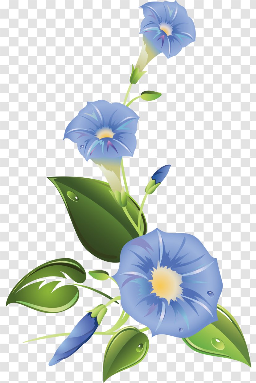 Ipomoea Purpurea Morning Glory Flower Clip Art - Flora Transparent PNG