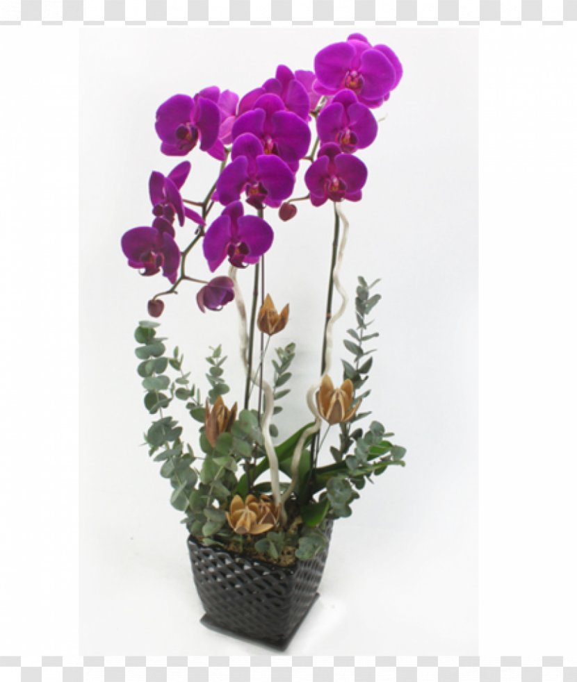 Floral Design Lunar New Year Fair Flower Chinese 年花 - Purple Transparent PNG