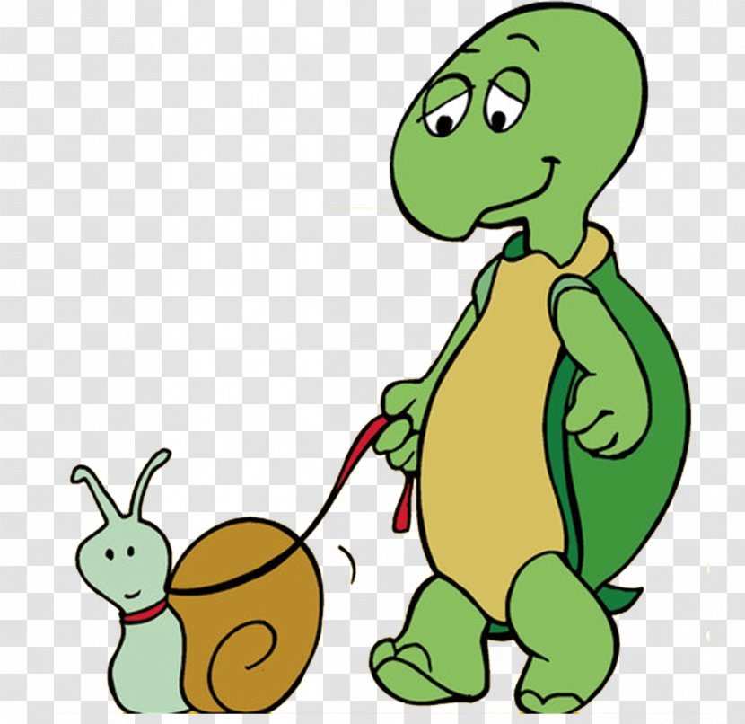Turtle Drawing Clip Art - Cartoon - And Snail Transparent PNG