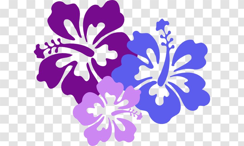 Hawaiian Flower Luau Clip Art - Hibiscus - Border Cliparts Transparent PNG