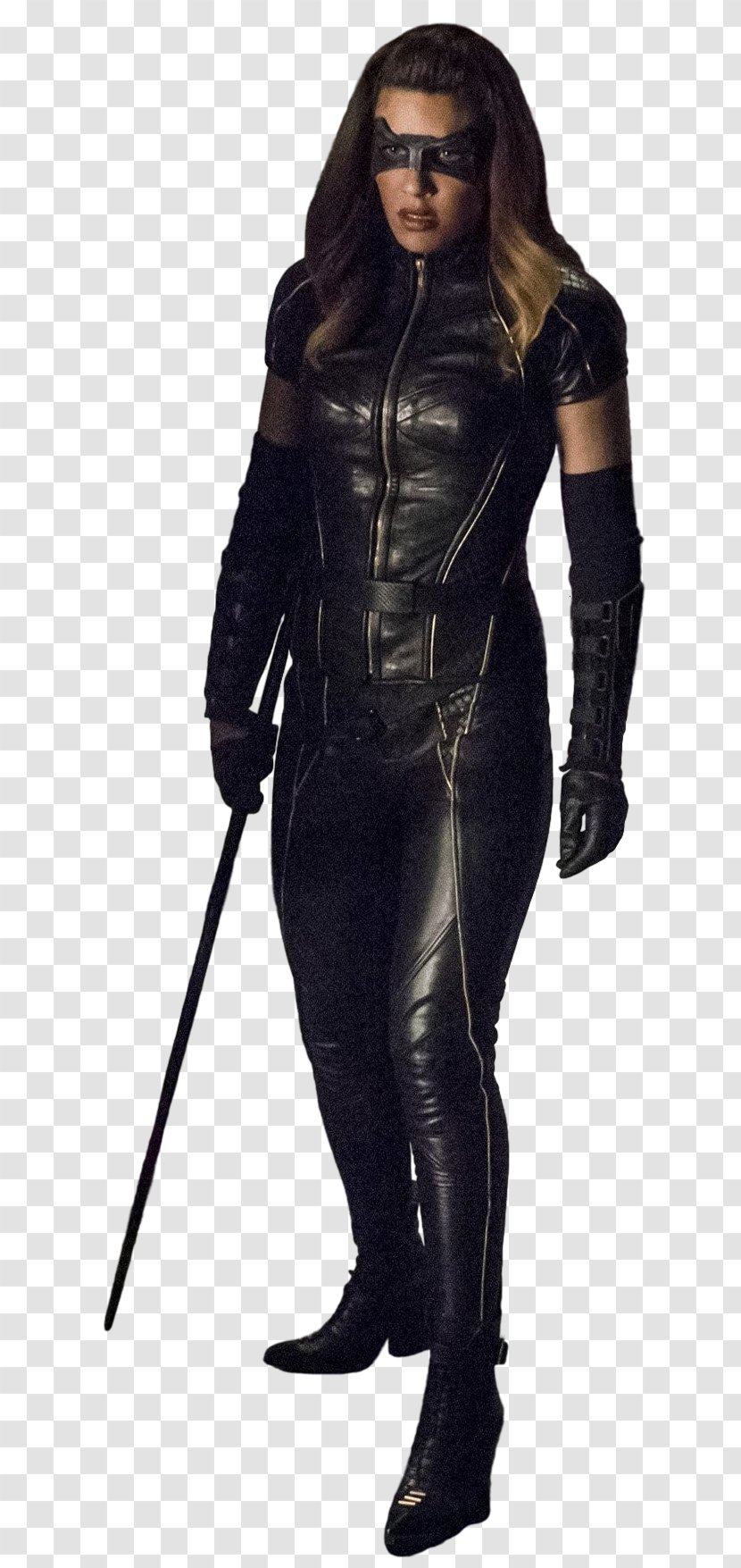 Black Canary Catwoman Cisco Ramon Vixen Arrow - Tree Transparent PNG