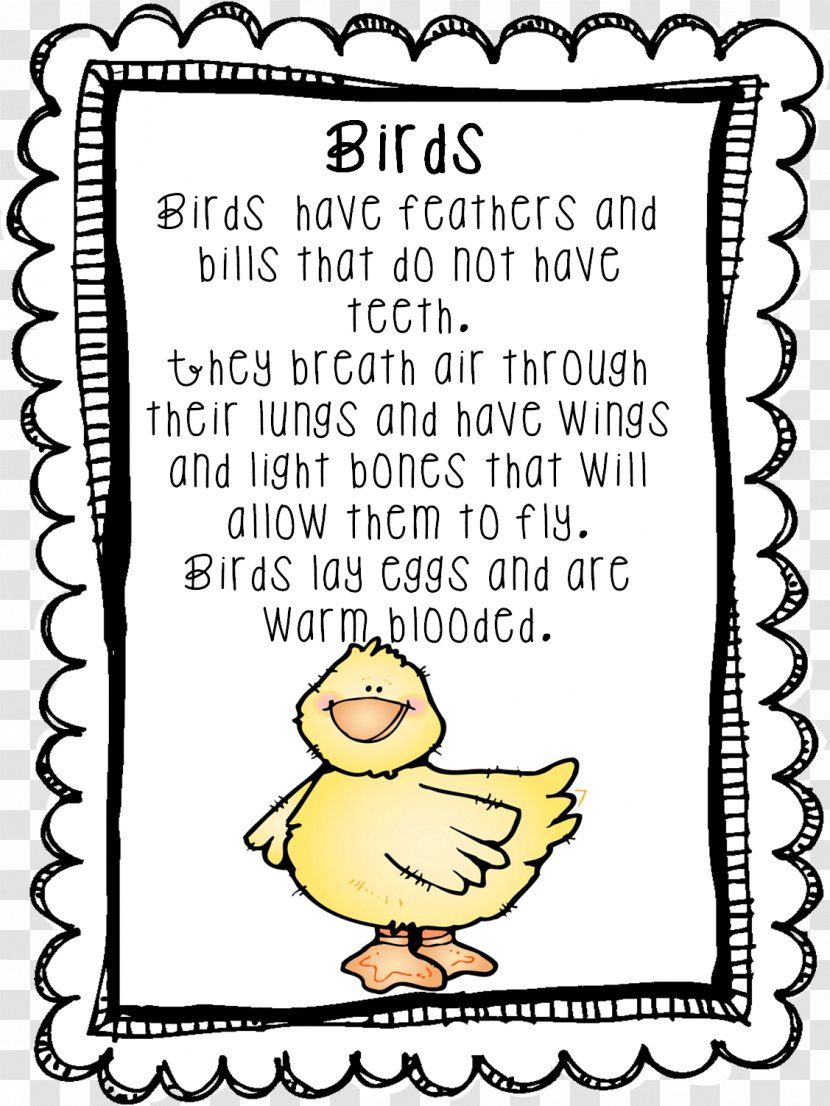 First Grade Kindergarten Family Teacher School - Quote Poster Transparent PNG