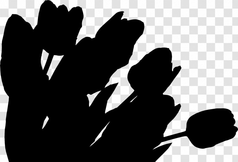 Sticker Tulip Flower Garden Kan - Hand - Gesture Transparent PNG