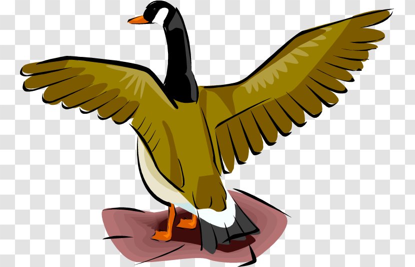 Duck Goose Mallard Clip Art Transparent PNG