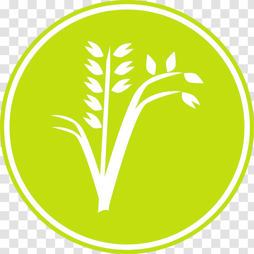 Oats Wheat Oats Logo Transparent PNG