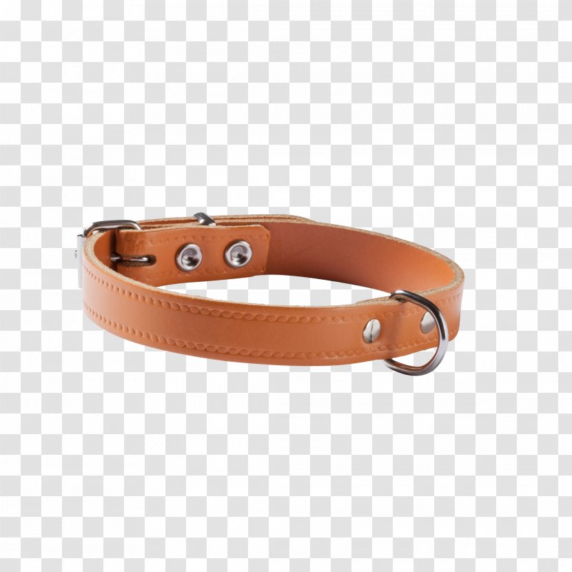 Belt Buckles Dog Collar Leash - Brown Transparent PNG
