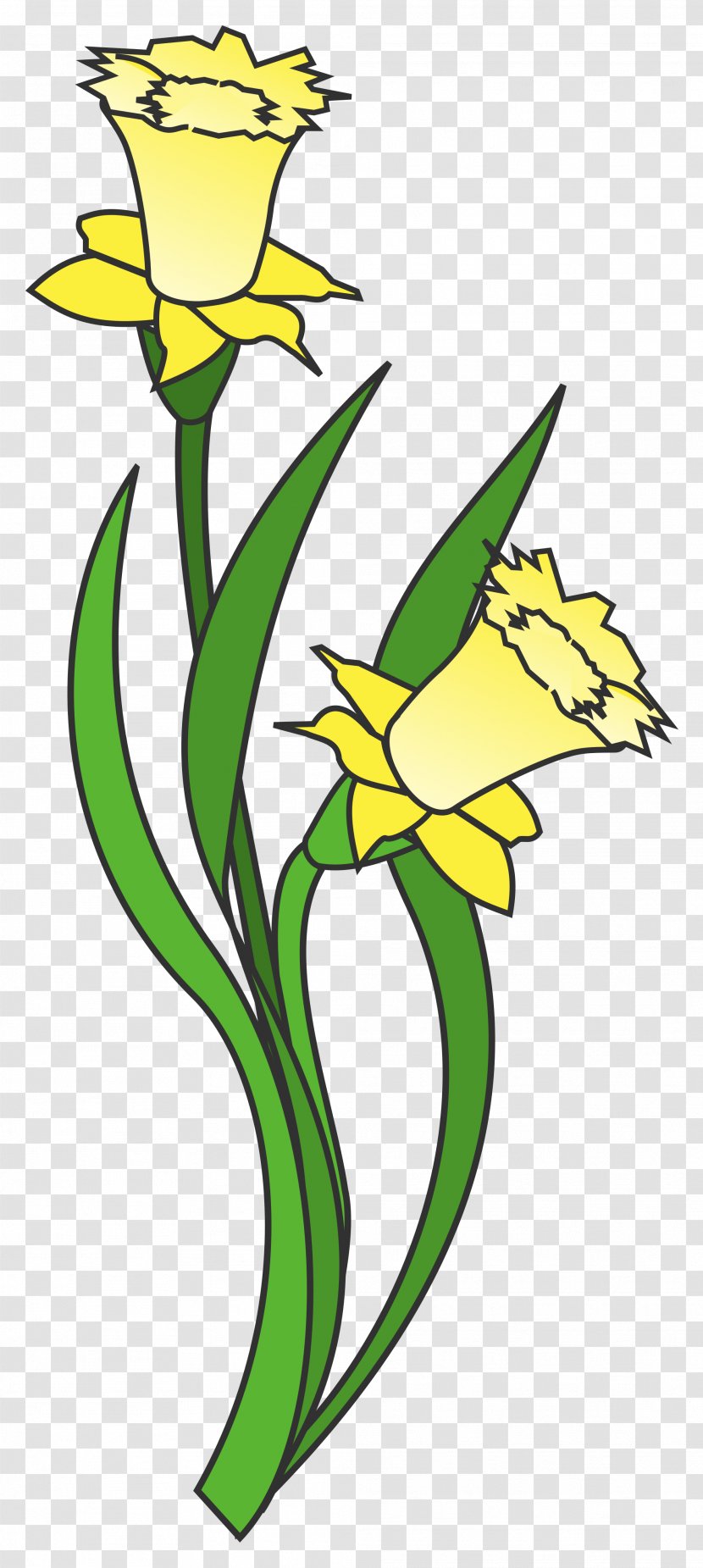 Daffodil Clip Art - Artwork - Sunflower Transparent PNG