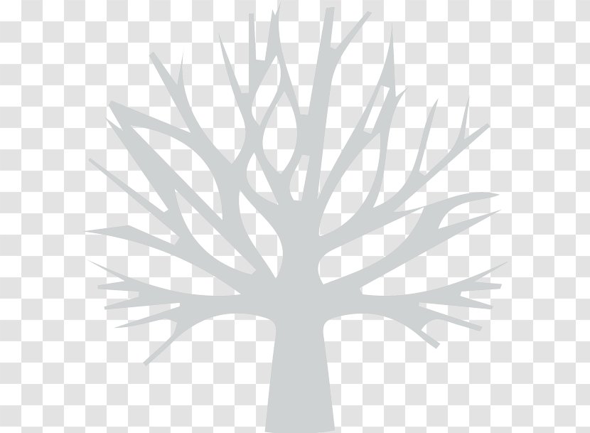 Table Furniture Jungle PC Kitchen Cabinet Computer Software - Tree Sillouette Transparent PNG