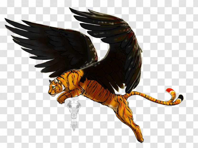 Eagle Beak Feather Legendary Creature Transparent PNG
