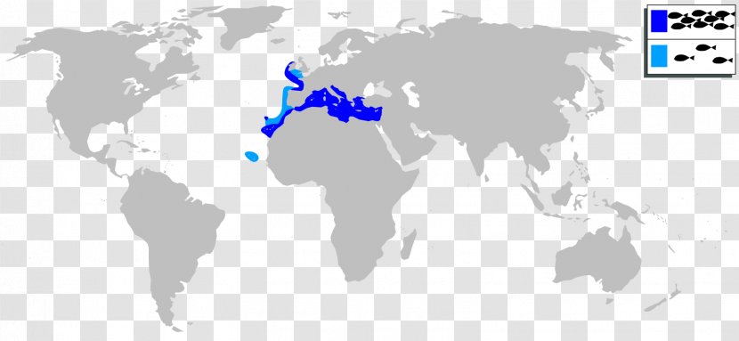 Car Left- And Right-hand Traffic United States Driving Grumman LLV - Sky - Countries Transparent PNG