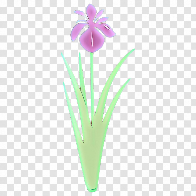 Flower Plant Petal Iris Flowerpot Transparent PNG