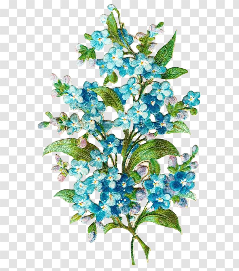 Border Flowers Blue Paper - Plant - Vintage Floral Botanical Transparent PNG