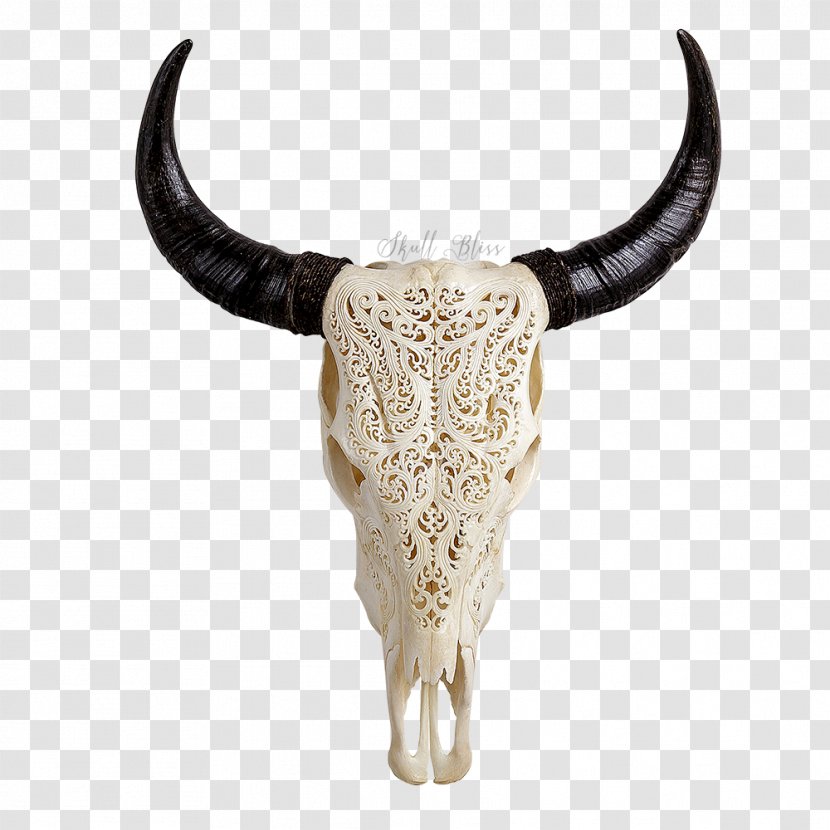 Texas Longhorn Skull Bone Bull - Horn - Carved Pattern Transparent PNG