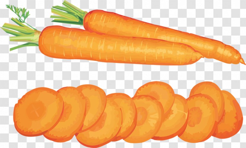 Clip Art Carrot Salad Vegetable - Saveloy - Silhouette Transparent PNG