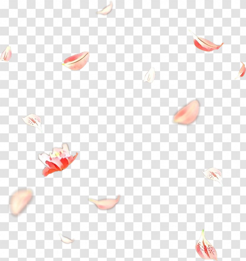 White Pink Heart Pattern Petal Transparent PNG