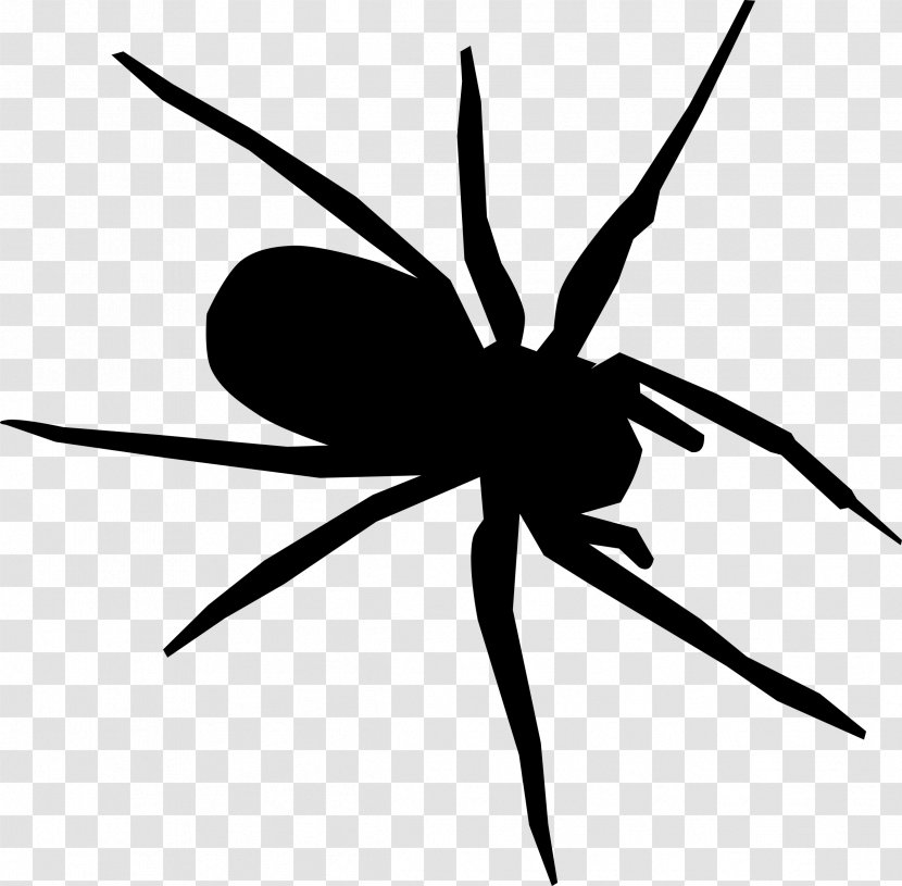 Silhouette Clip Art - Arachnid - Spiders Vector Transparent PNG