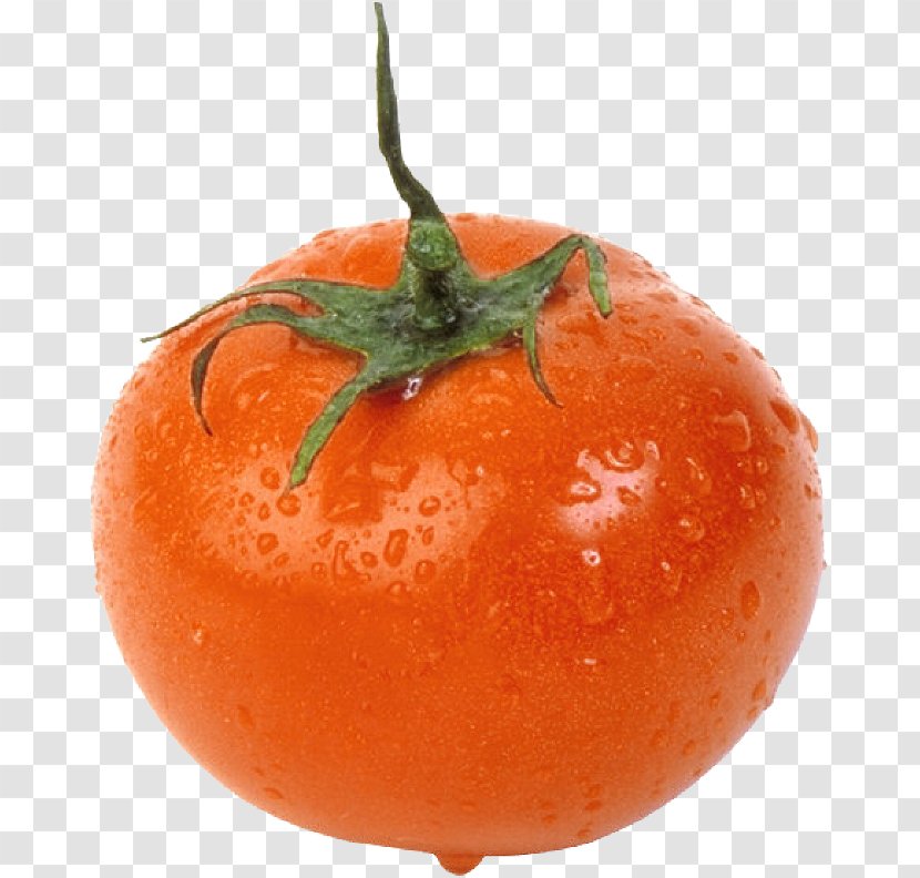 Plum Tomato Vegetable Fruit Food - Tangerine Transparent PNG