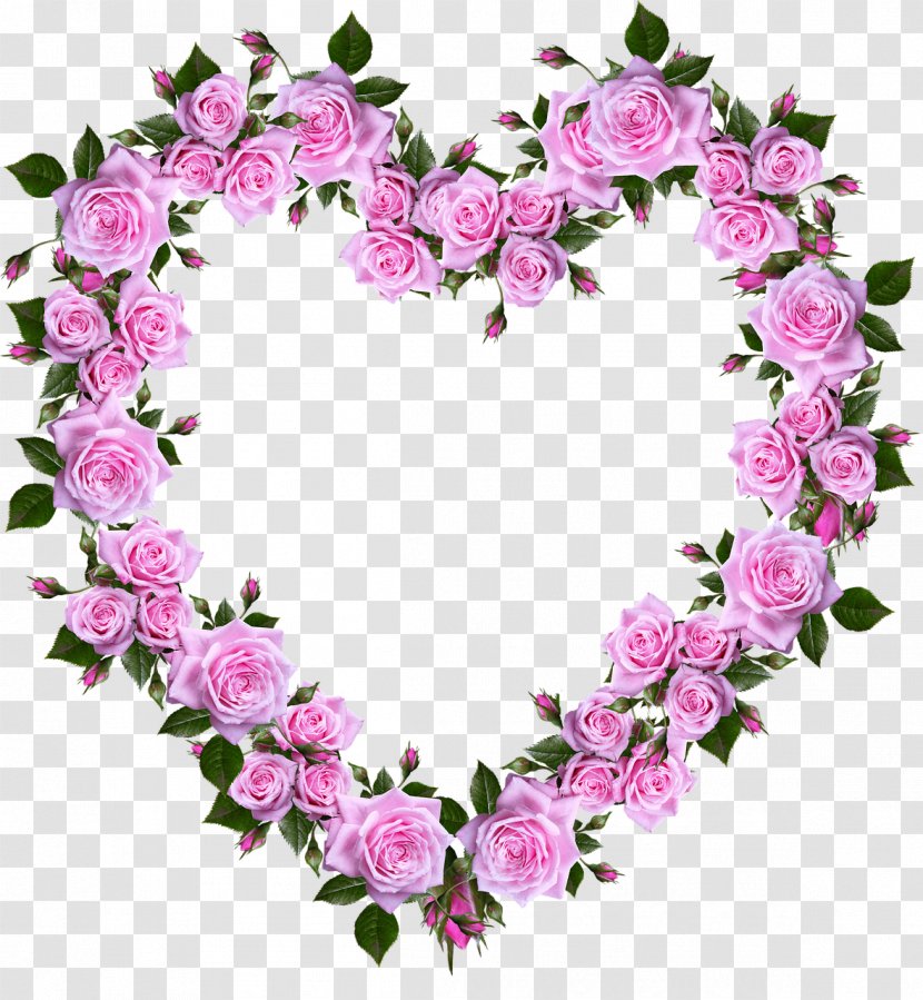 Borders And Frames Picture Stock.xchng Image Rose - Plant Transparent PNG