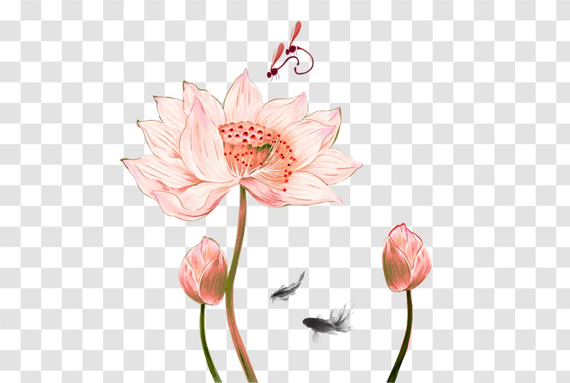 Nelumbo Nucifera Drawing Ink Wash Painting Chinese - Pink Fresh Lotus Decoration Pattern Transparent PNG