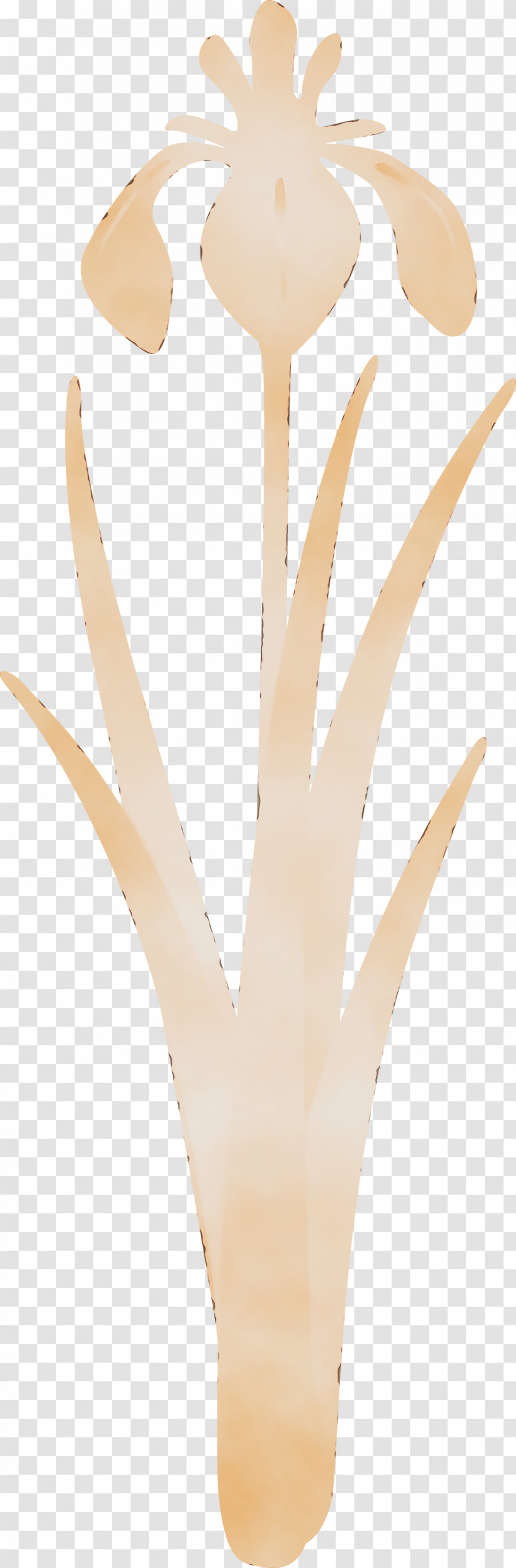 Plant Transparent PNG