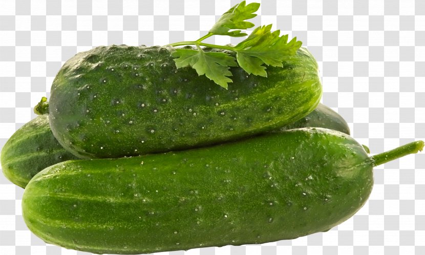 Pickled Cucumber Spreewald Gherkins Israeli Salad - Cucumbers Transparent PNG