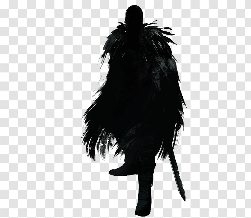 Black M Silhouette White Feather - Fur Transparent PNG