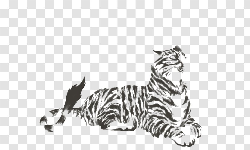 Tiger Whiskers Cat Lion Felidae - Fauna Transparent PNG